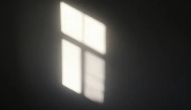 系统集成项目中的检查要点及适用限制